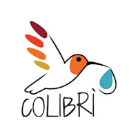 1491810784146004 colibri