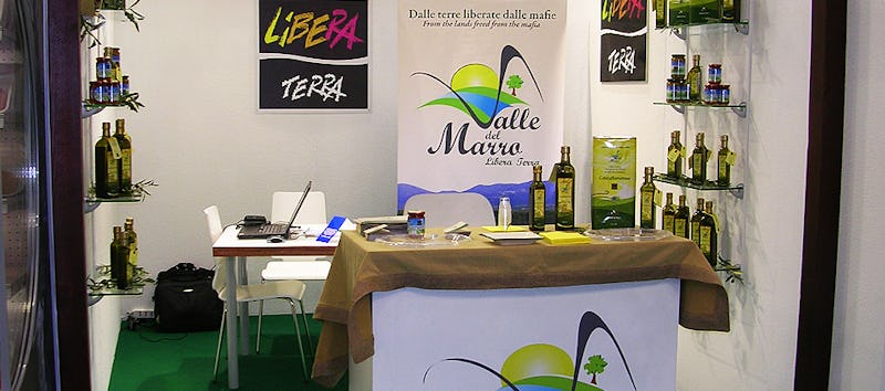 1499182355480299 valle del marro 1