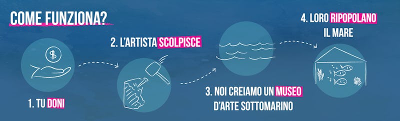 1505902119133770 comefuziona