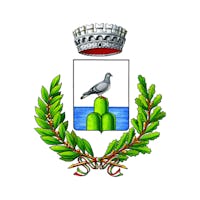 1513251138278318 logo