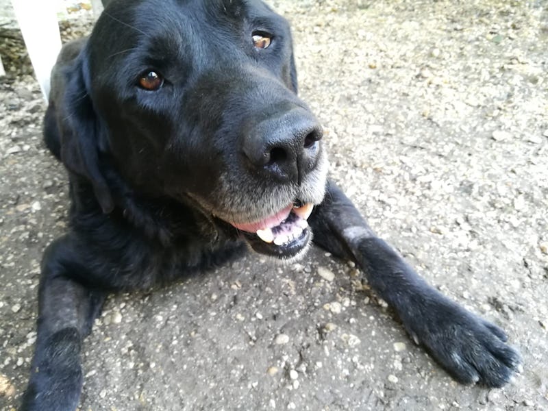 1536686686120553 nerone.