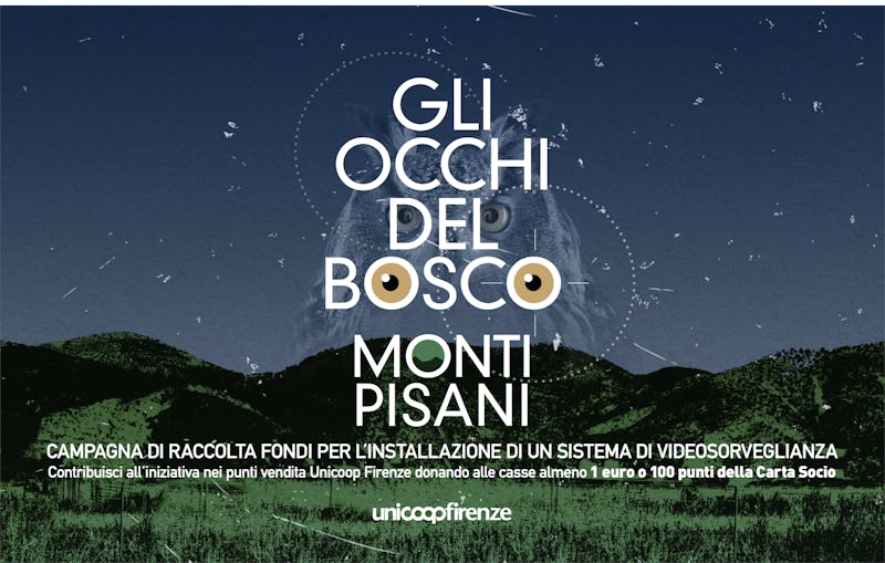 1542737448430127 boschi 1472x930