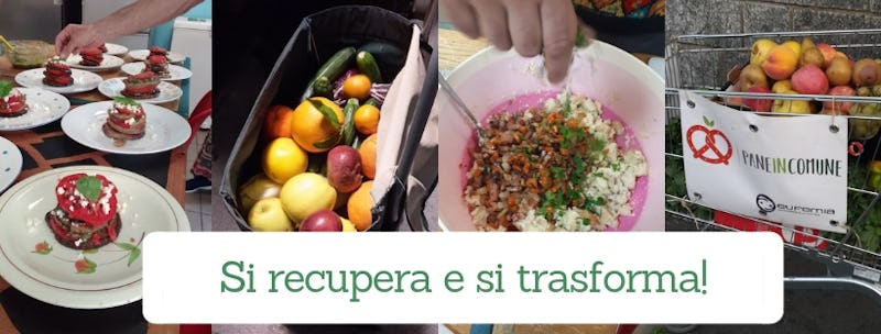 1546973862703148 recupera trasforma
