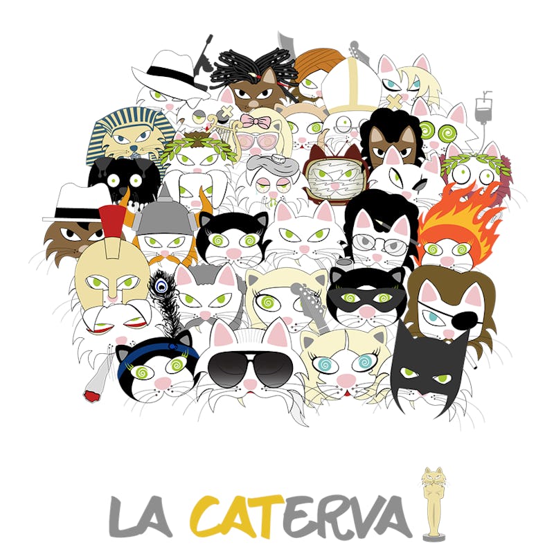 1549548899853842 caterva