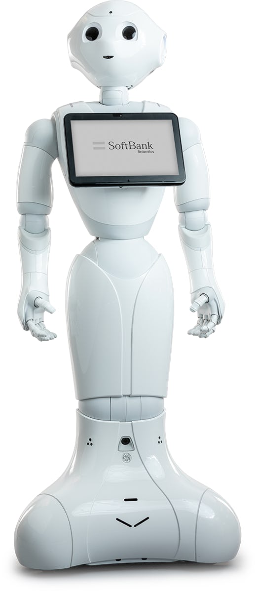1562425125839781 sbr pepper hero fullrobot