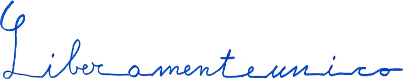1562582016257632 logo liberamenteunico ok 2