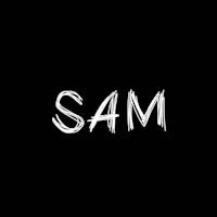 1568219489100409 copia di sam