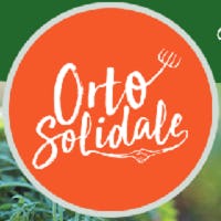 1568643987129052 orto s. 1