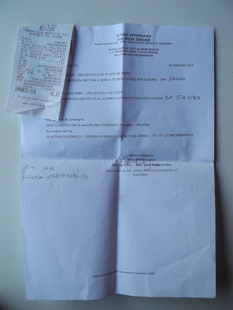1570722702622686 medicine