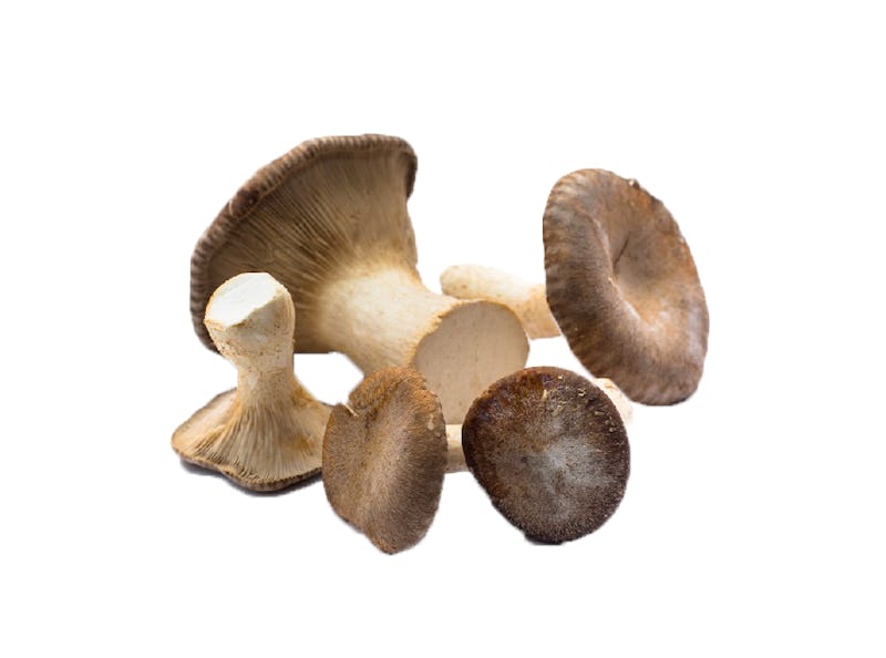 1579190419745318 funghi cardoncelli 1