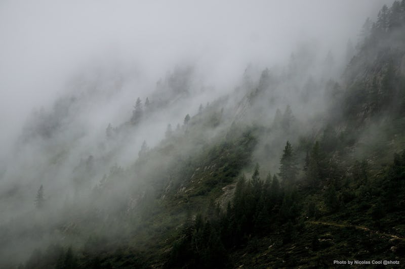 1591997793071169 nicolas cool 113893 unsplash