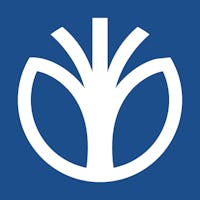 1599491758066167 500x500 marchio