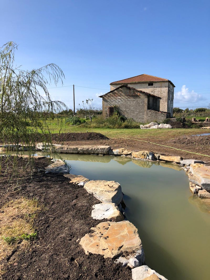 1604864536730079 stagno di montagna 6