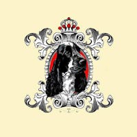 1606129518760491 logoallevamento