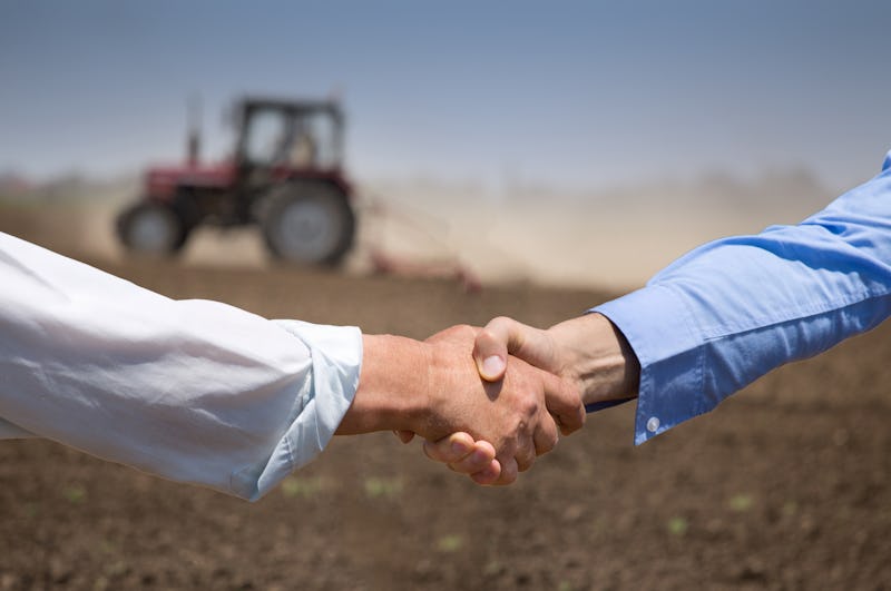 1611216796640690 agricoltore manager