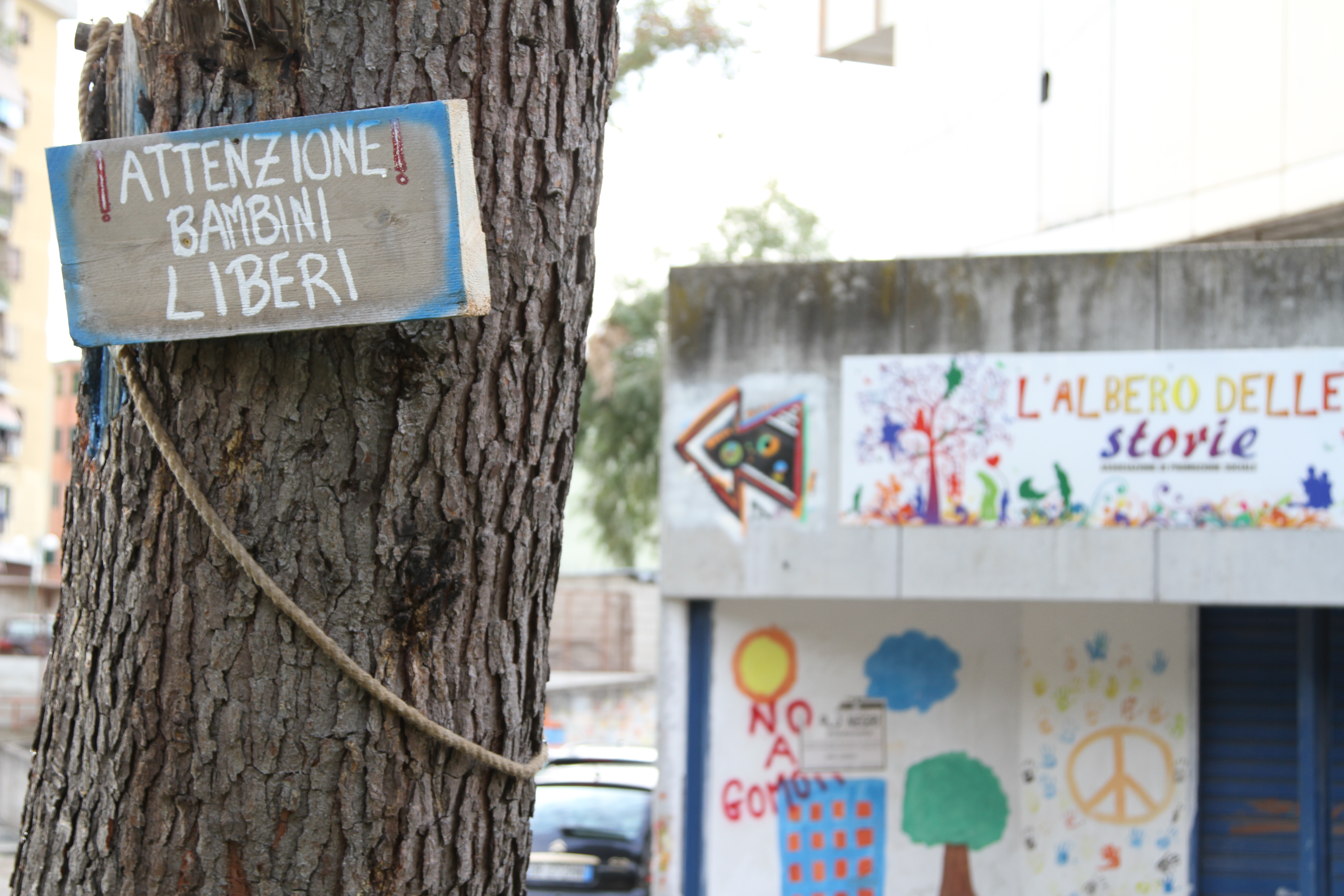 1631262256751216 img 9053