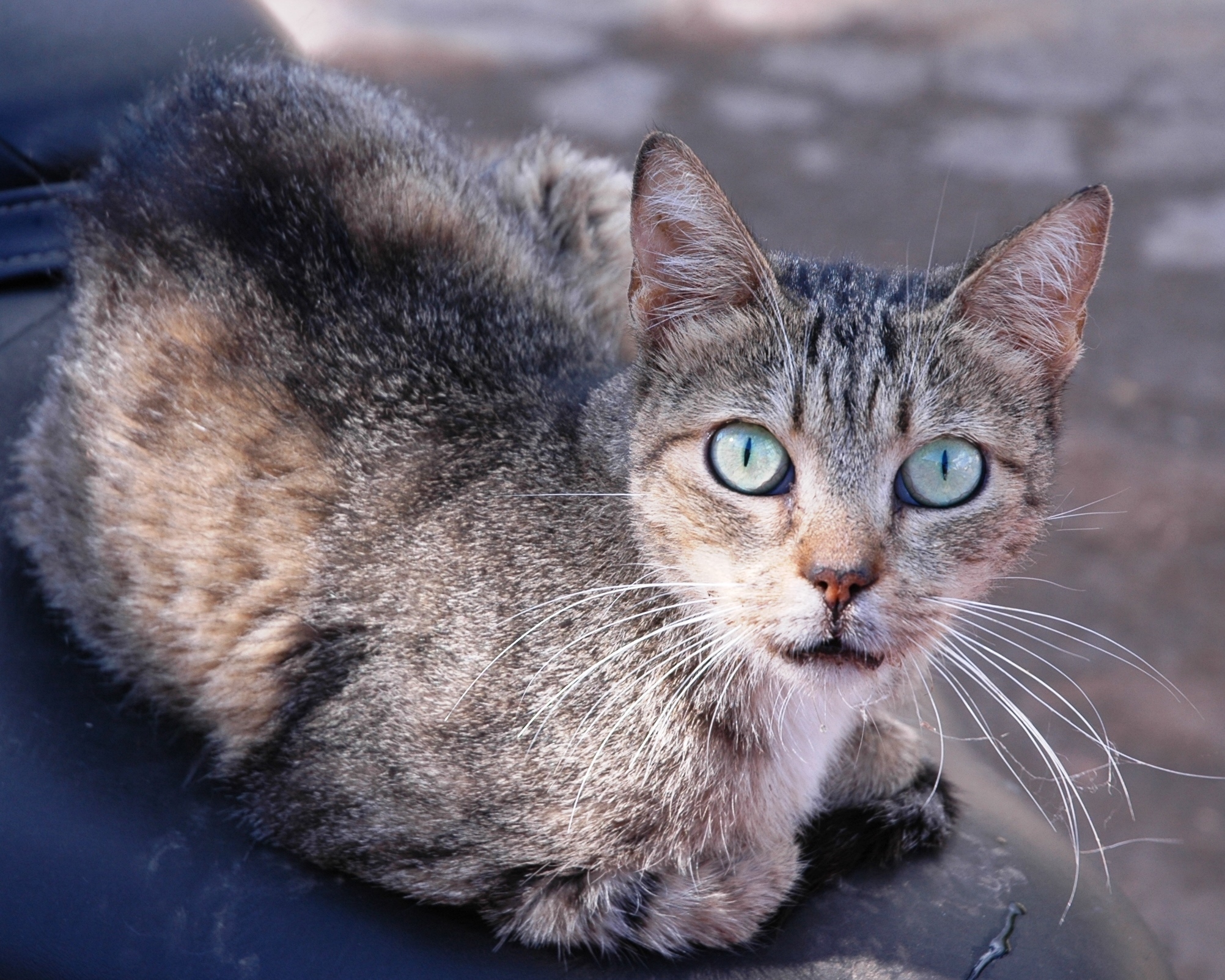 1631548013981797 ok liza