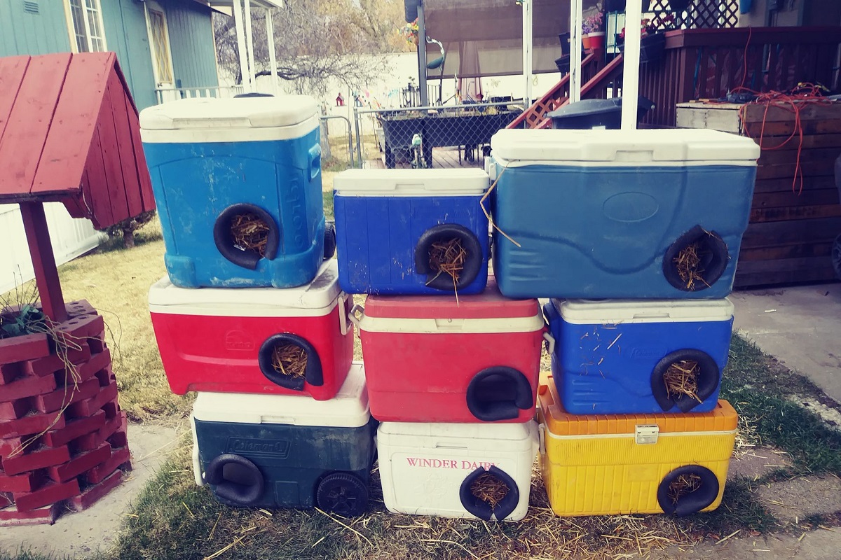 1631548320394040 contenitori