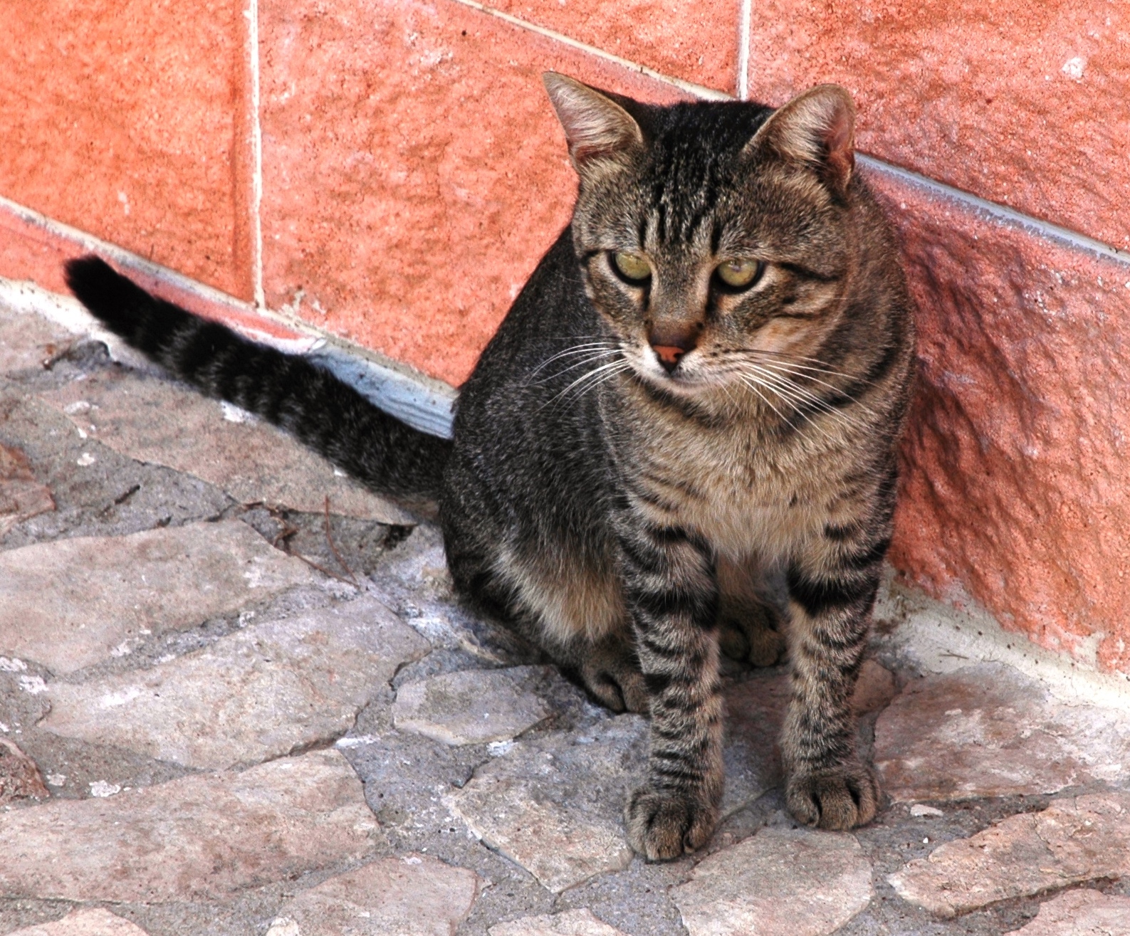 1631548349181334 ok5