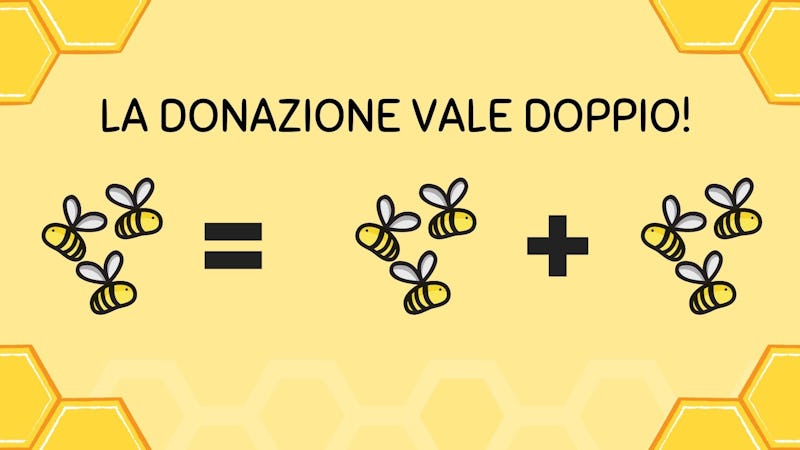 1631776456499025 presentazione legambiente 1
